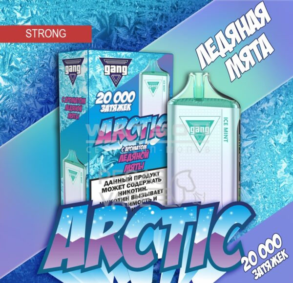 Электронная сигарета GANG ARCTIC 20000 (Ледяная мята) Электронная сигарета GANG ARCTIC 20000 (Ледяная мята)