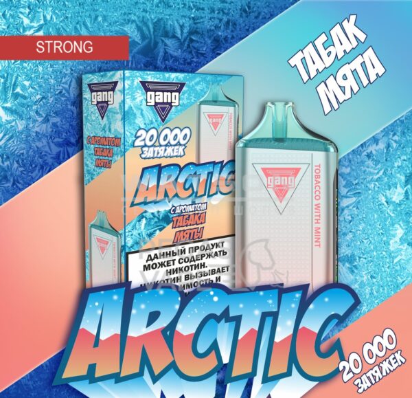 Электронная сигарета GANG ARCTIC 20000 (Табак с мятой) Электронная сигарета GANG ARCTIC 20000 (Табак с мятой)