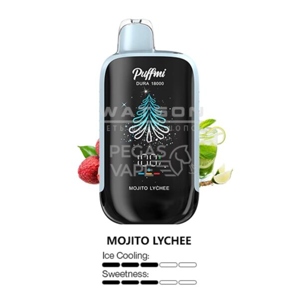 Электронная сигарета PUFFMI DURA 18000 (Мохито личи) Электронная сигарета PUFFMI DURA 18000 (Мохито личи)