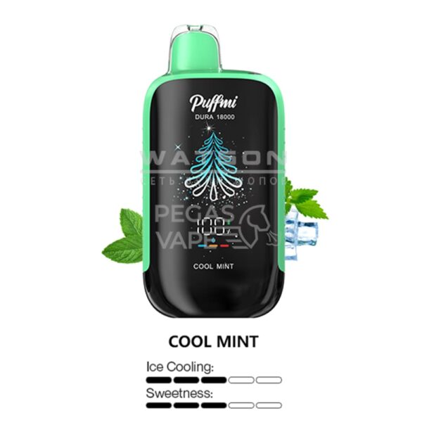 Электронная сигарета PUFFMI DURA 18000 (Ледяная мята) Электронная сигарета PUFFMI DURA 18000 (Ледяная мята)