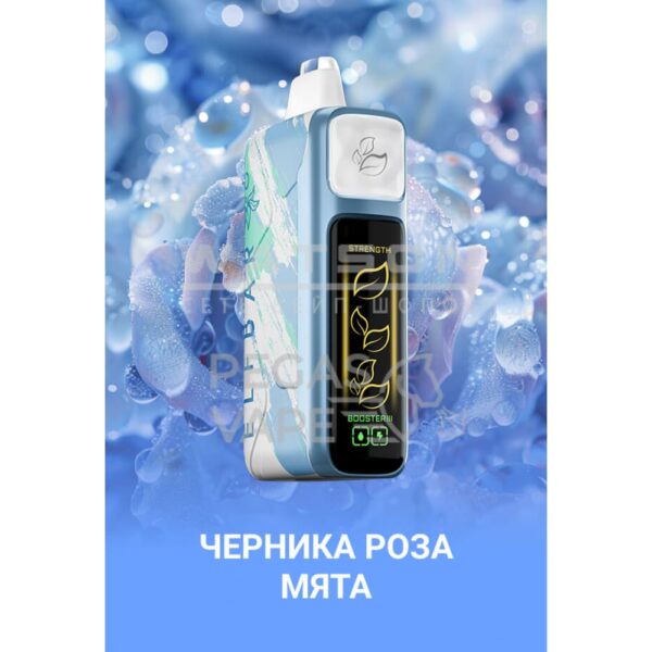 Электронная сигарета Elf Bar Booster Nic King 30000 (Черника роза мята) Электронная сигарета Elf Bar Booster Nic King 30000 (Черника роза мята)
