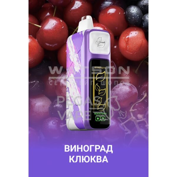 Электронная сигарета Elf Bar Booster Nic King 30000 (Виноград клюква) Электронная сигарета Elf Bar Booster Nic King 30000 (Виноград клюква)