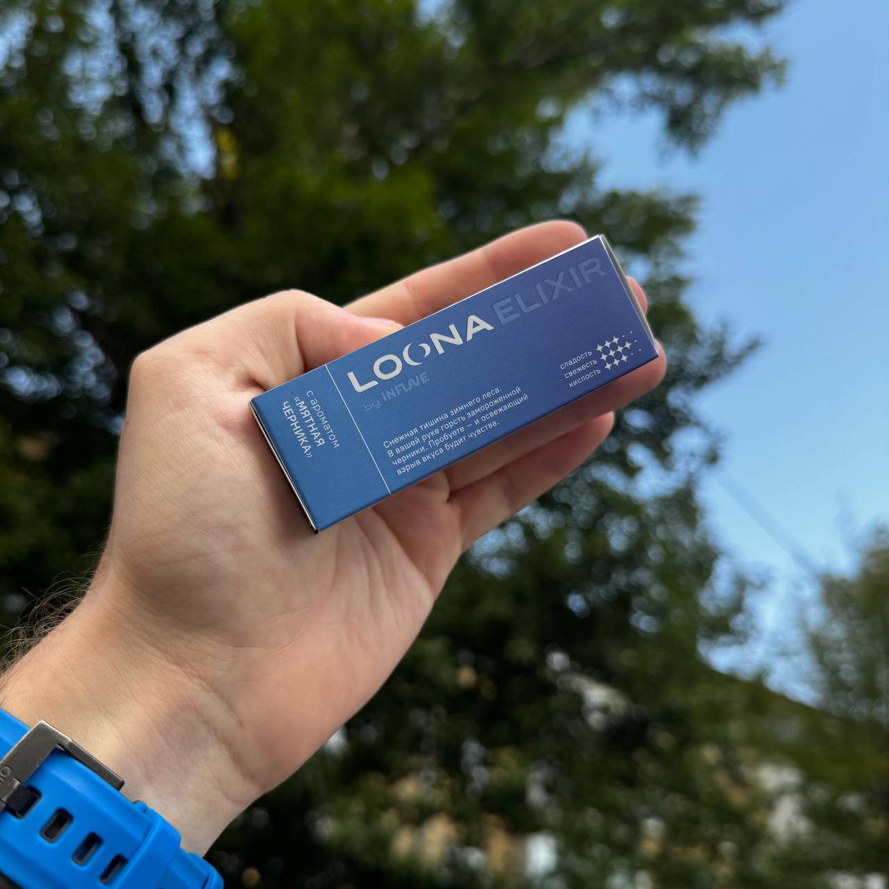 Мятная черника